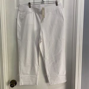 Chico’s Traveller’s Collection Crepe Crop Pants Winter Drift